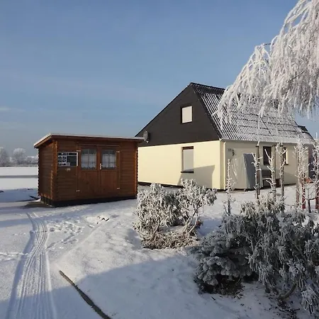 Eul A9 At The Comfortable *