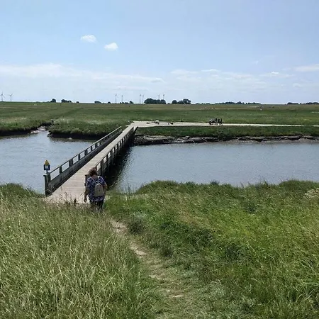 Eul A9 At The Comfortable