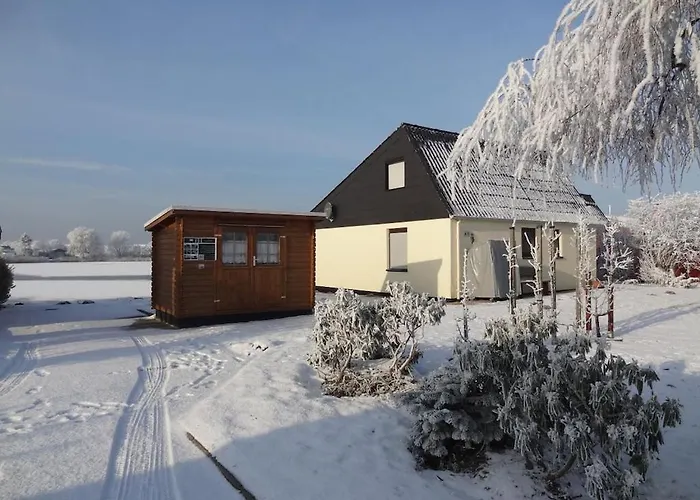 Eul A9 At The Comfortable *