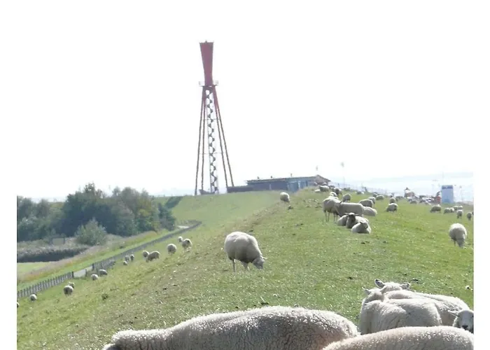 Σπίτι διακοπών Eul A9 At The Comfortable