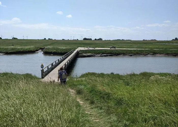 Eul A9 At The Comfortable